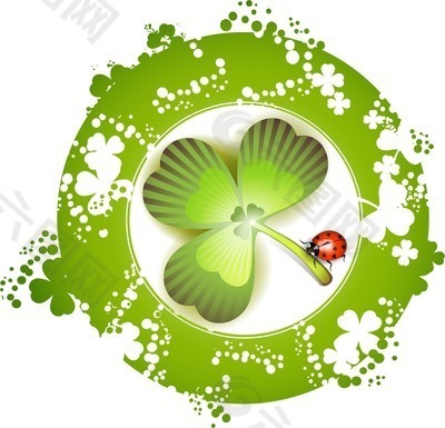 三葉草和瓢蟲的插圖