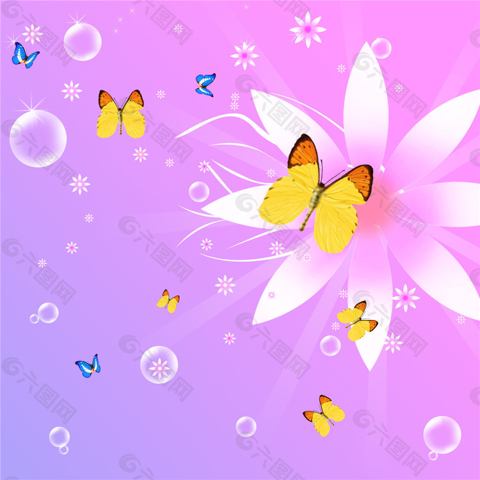 蝴蝶花朵玄關(guān)圖