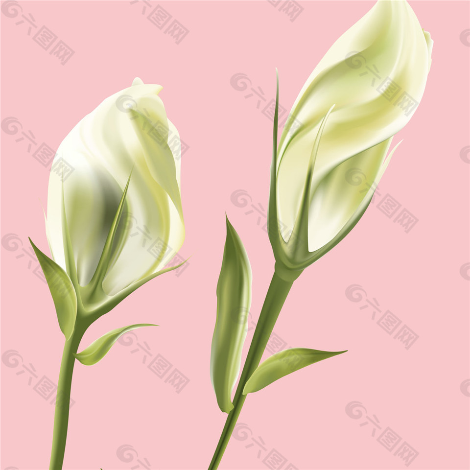 粉色背景花束裝飾畫