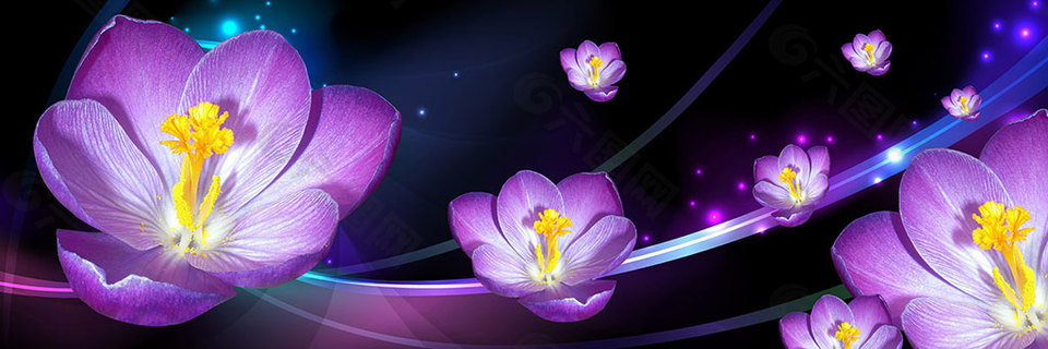 花朵裝飾畫
