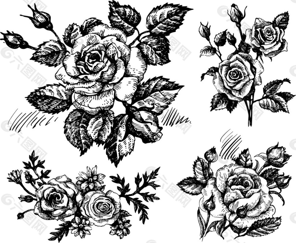 素描玫瑰花