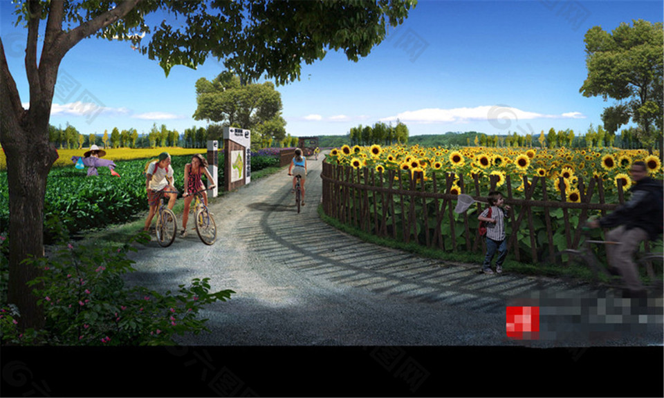 葵花田走道景觀圖