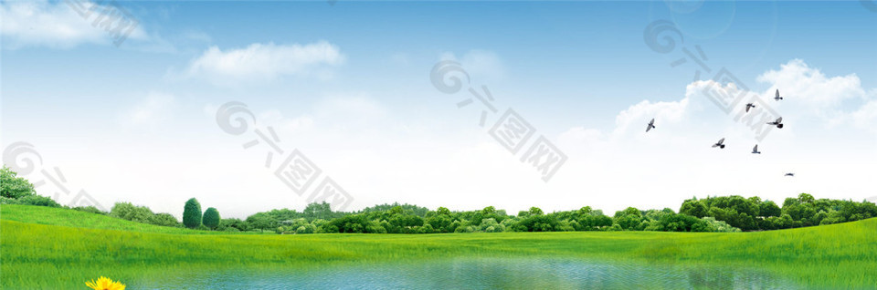 現(xiàn)代簡約綠色banner創(chuàng)意海報(bào)設(shè)計(jì)