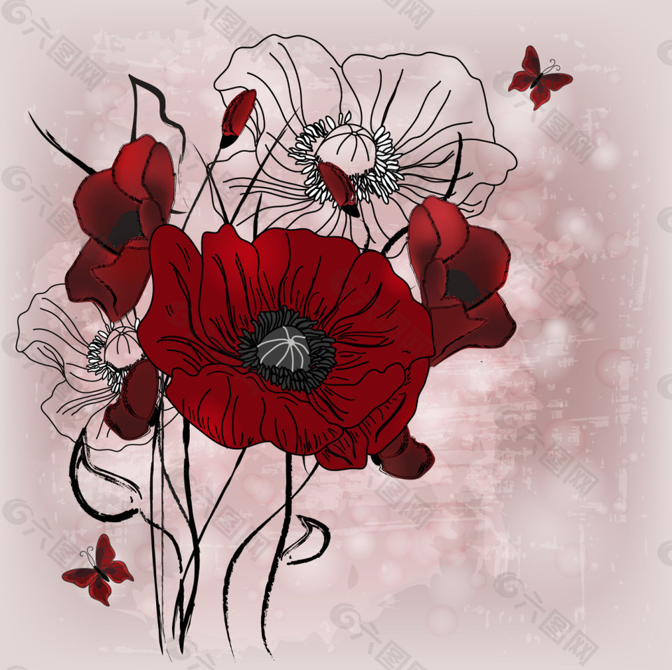 紅色虞美人插畫(huà)
