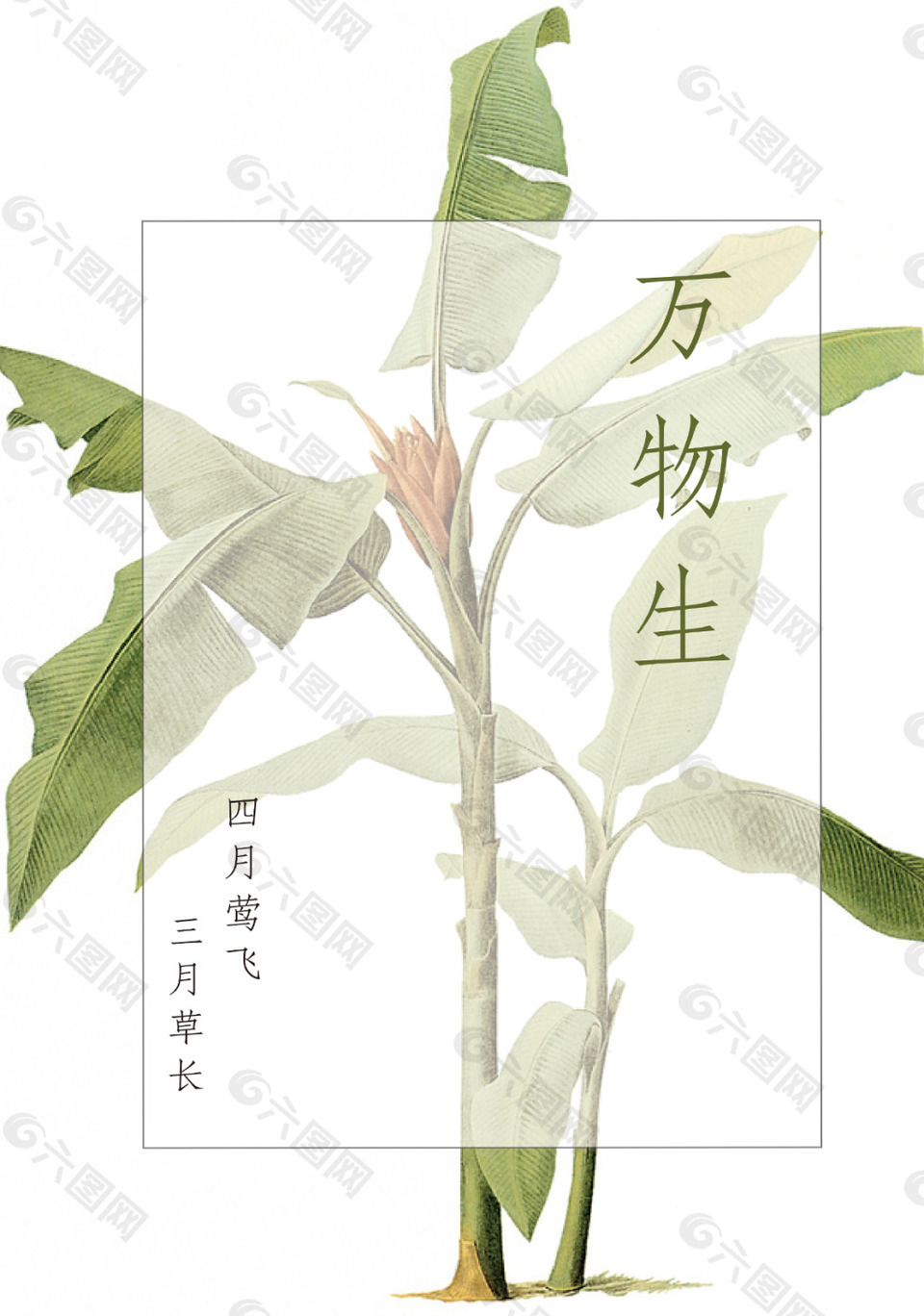 万物生清明