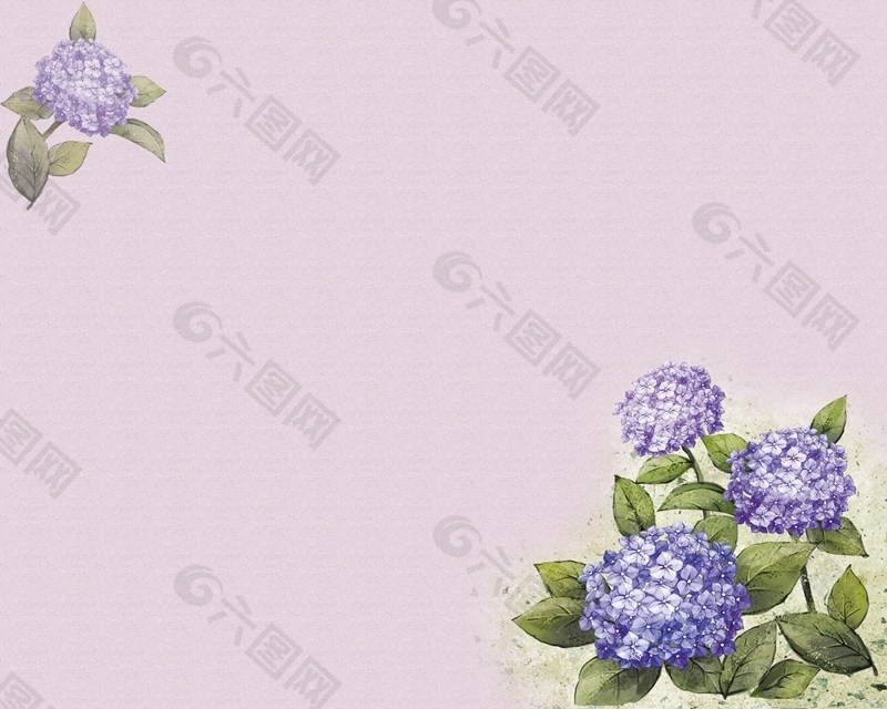 紫色花朵背景