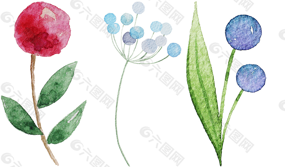 清新手繪花卉
