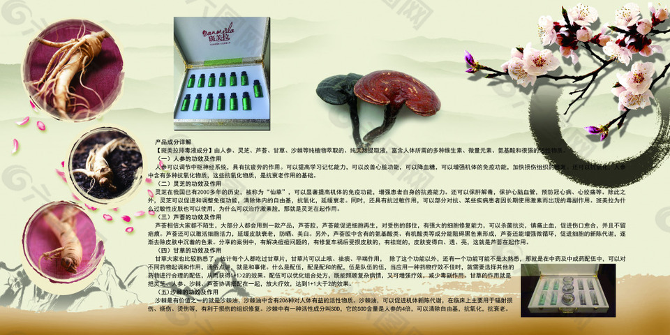 中國(guó)風(fēng)產(chǎn)品介紹畫(huà)冊(cè)