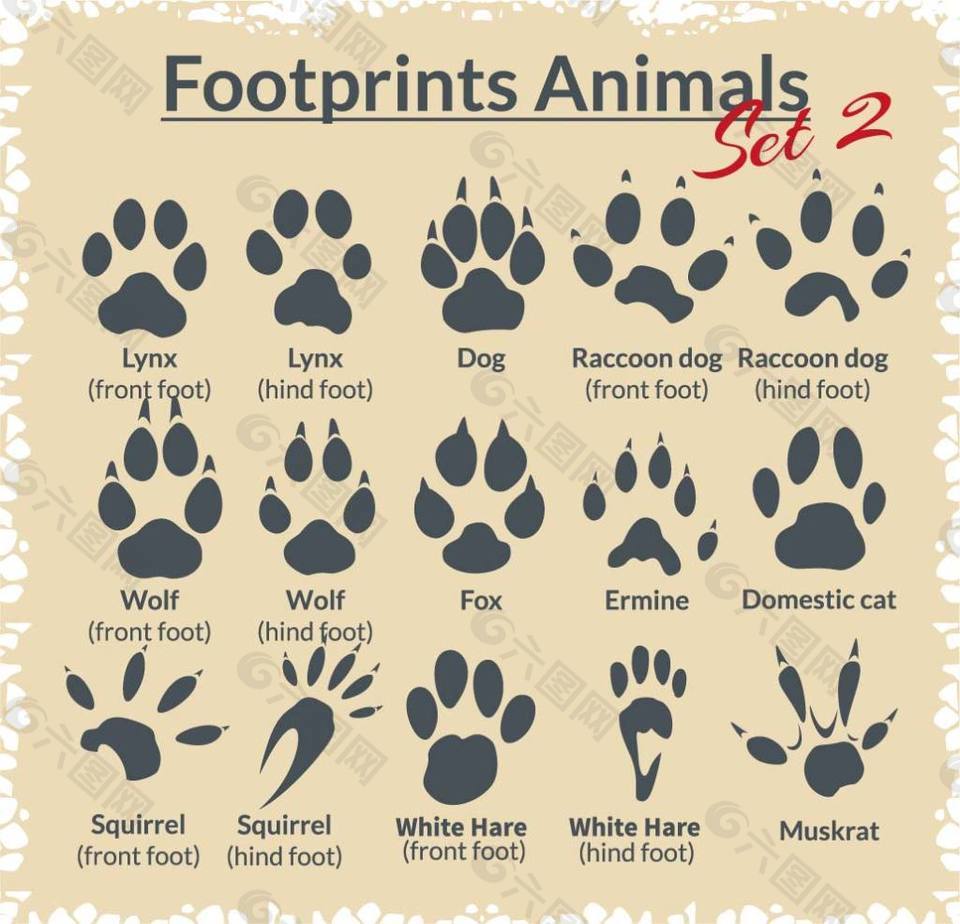 各种动物脚印图案矢量素材下载