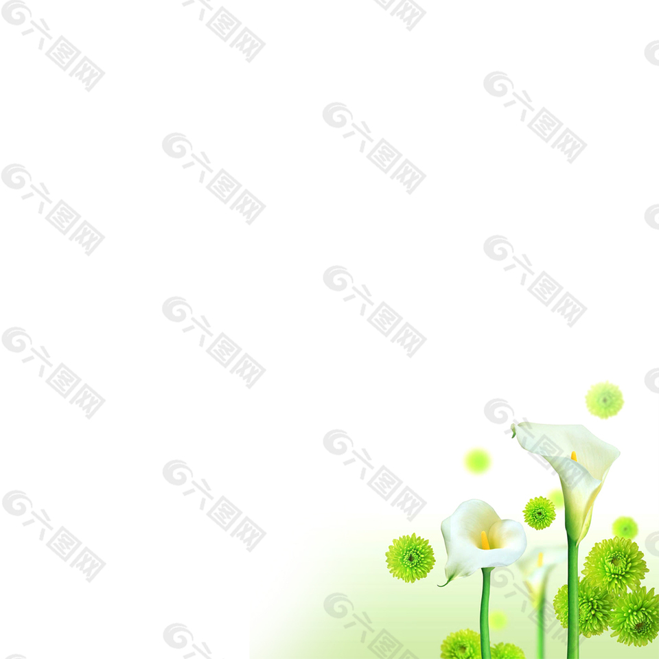 百合花