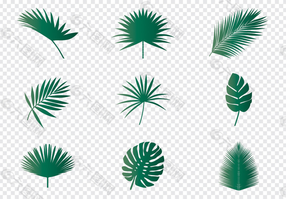 手繪棕櫚葉子