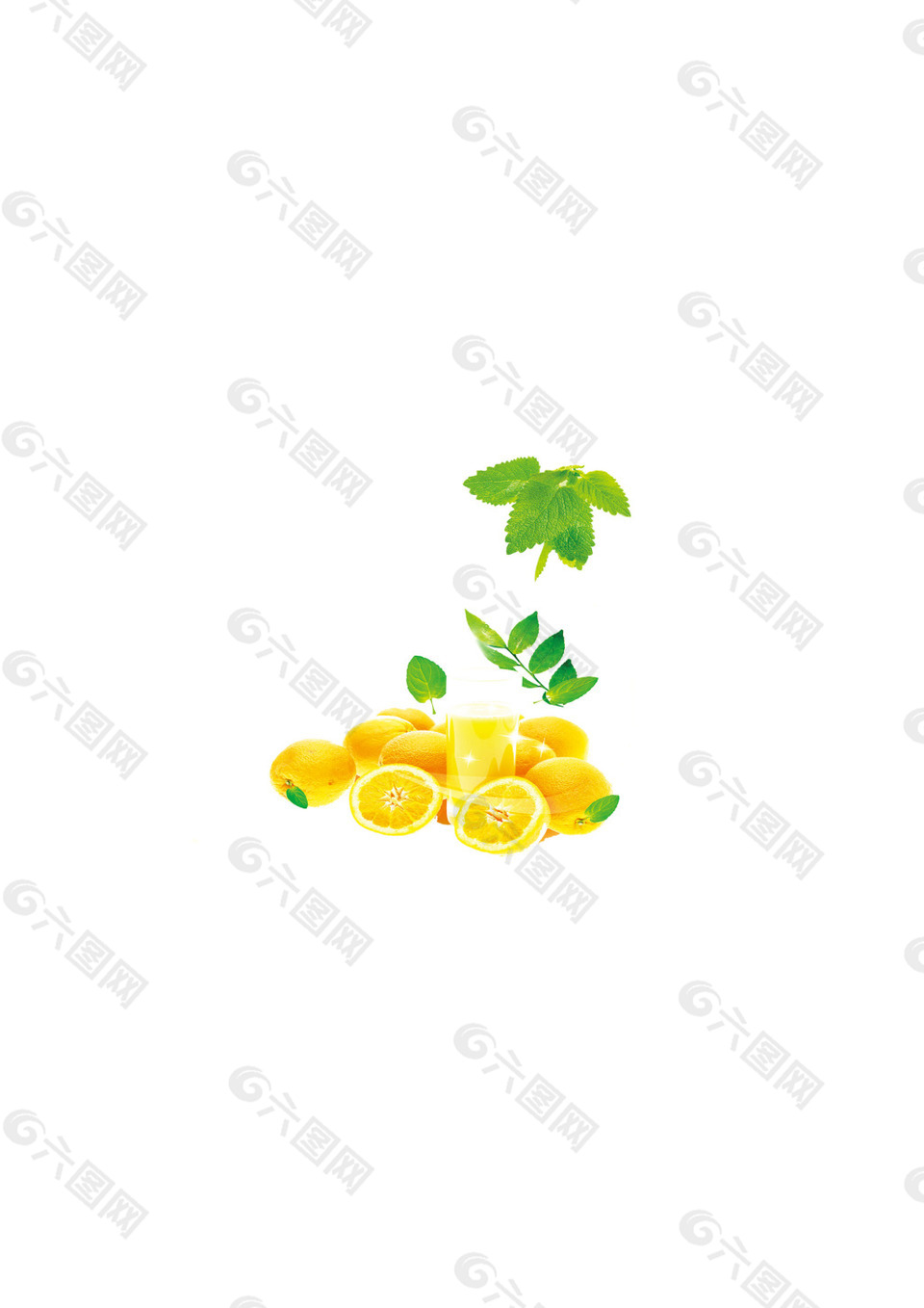 柠檬薄荷叶素材