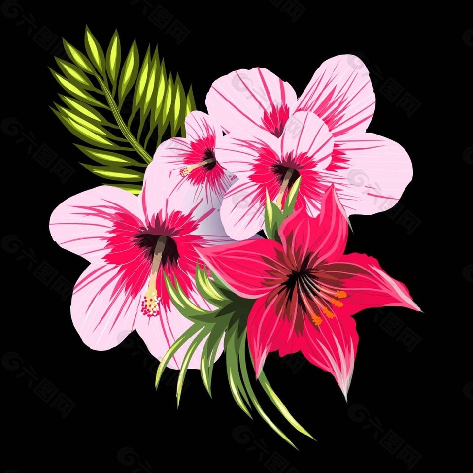 粉色的花朵