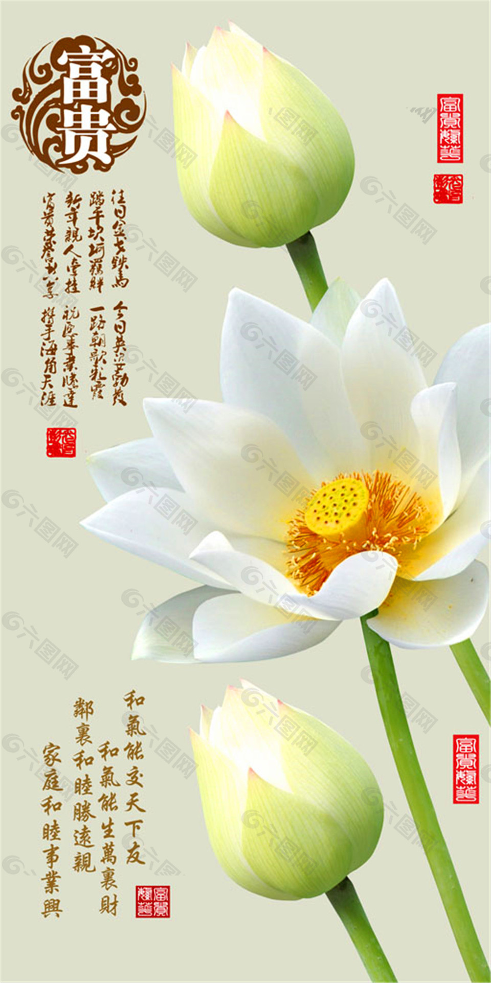 潔白荷花裝飾畫(huà)圖片