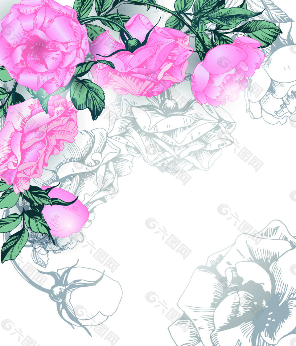 粉色月季玫瑰花朵矢量素材