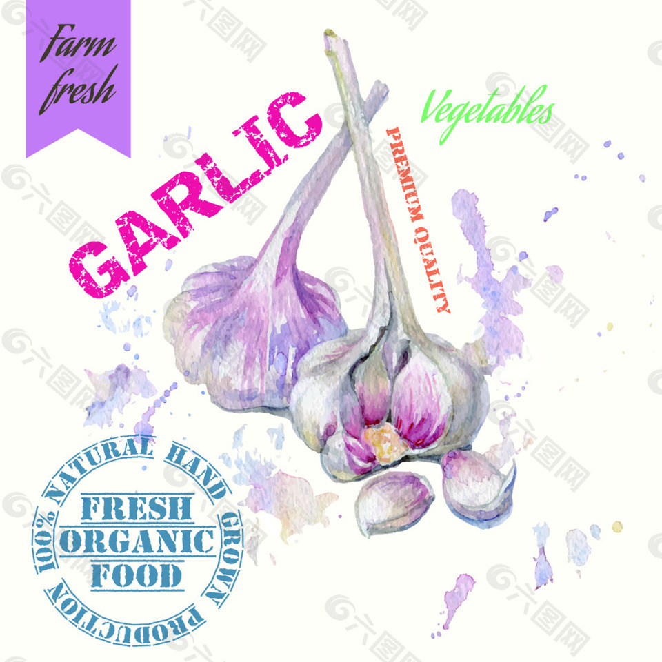 大蒜水彩手绘插画蔬菜矢量素材
