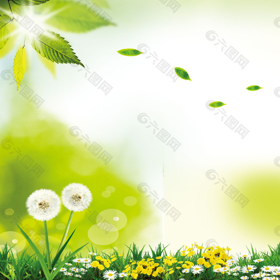蒲公英花朵青草树叶高光素材