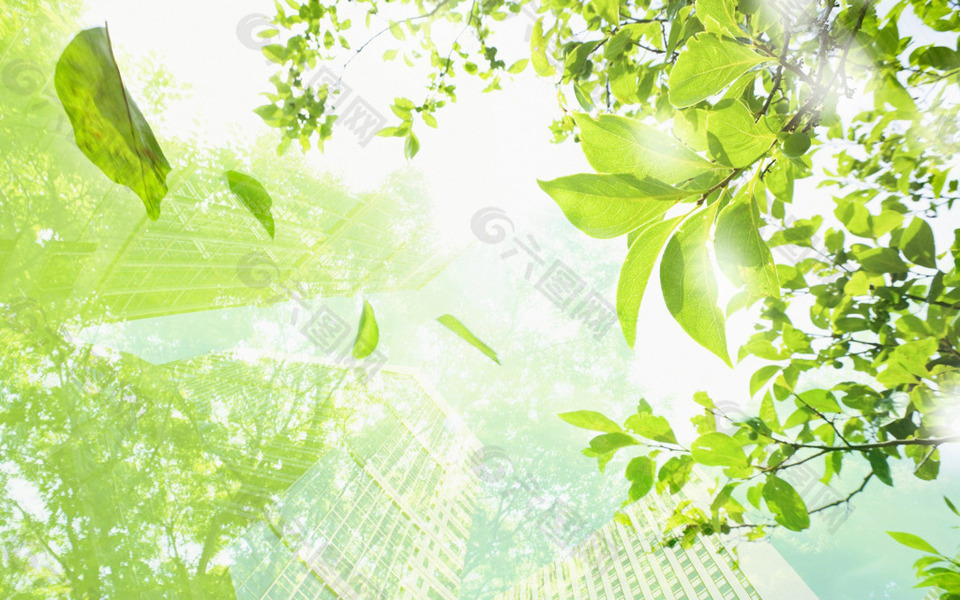 清新陽光綠色背景
