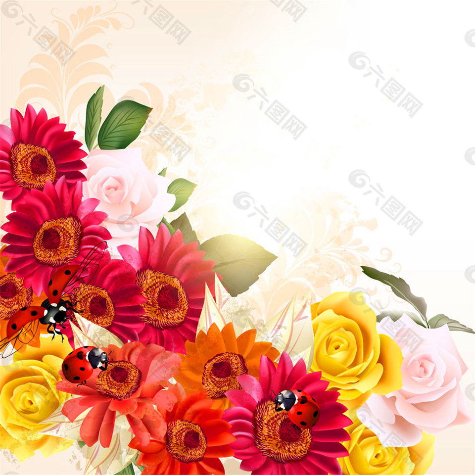 玫瑰花菊花昆蟲圖片