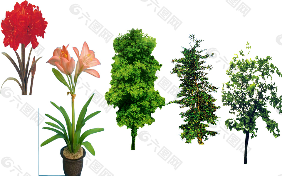 樹木綠植綠枝園林景觀素材