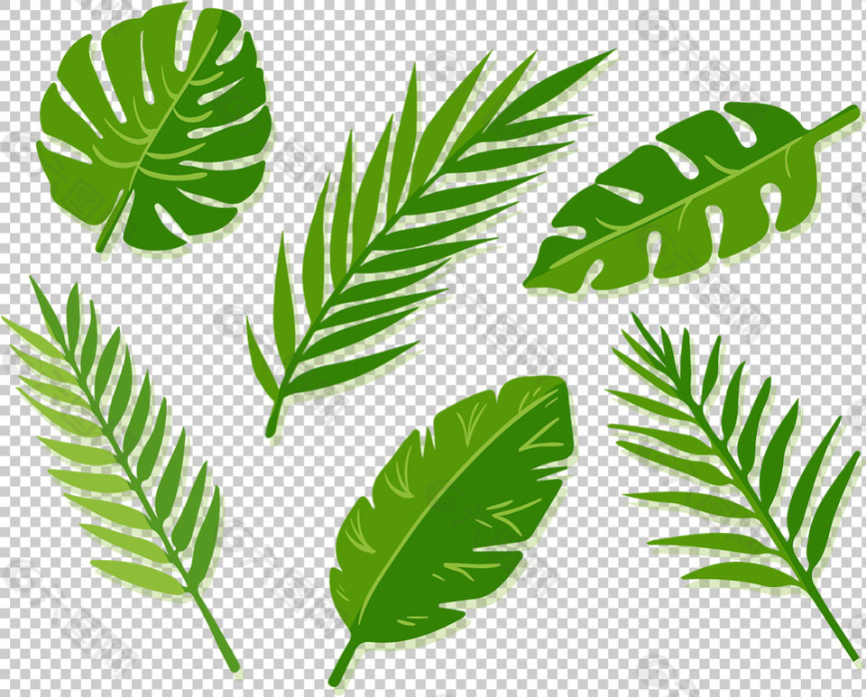 綠色棕櫚葉子免摳png透明圖層素材