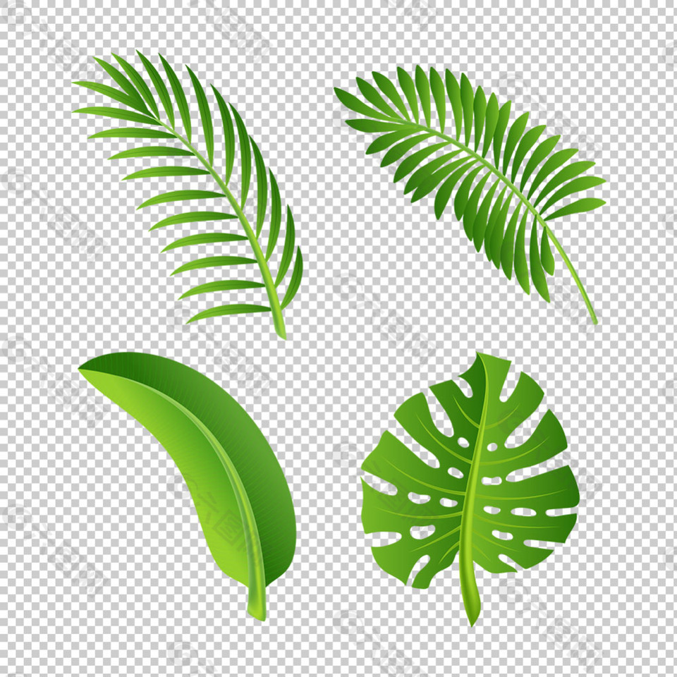 手繪綠色棕櫚葉子免摳png透明圖層素材