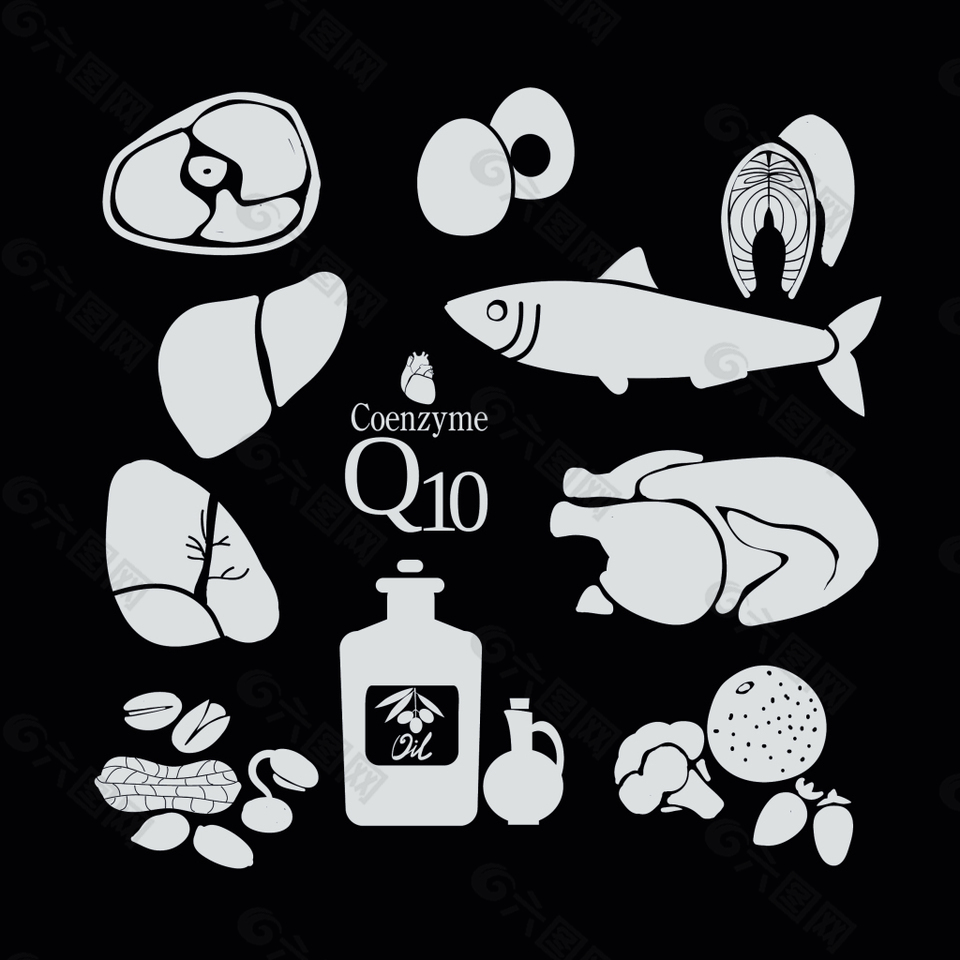 食物插画
