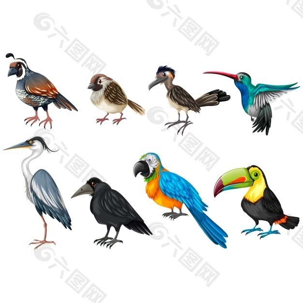 顏色的鳥類收藏