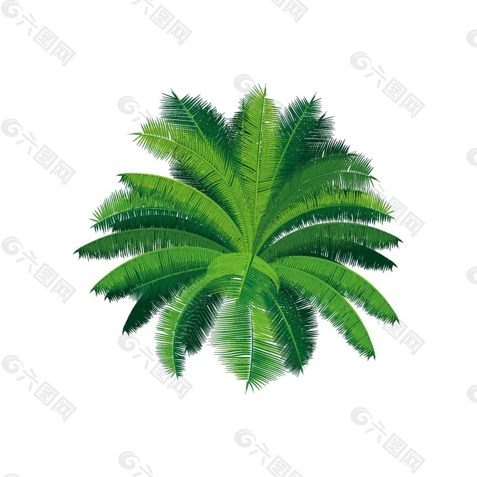 手繪熱帶綠色植物元素