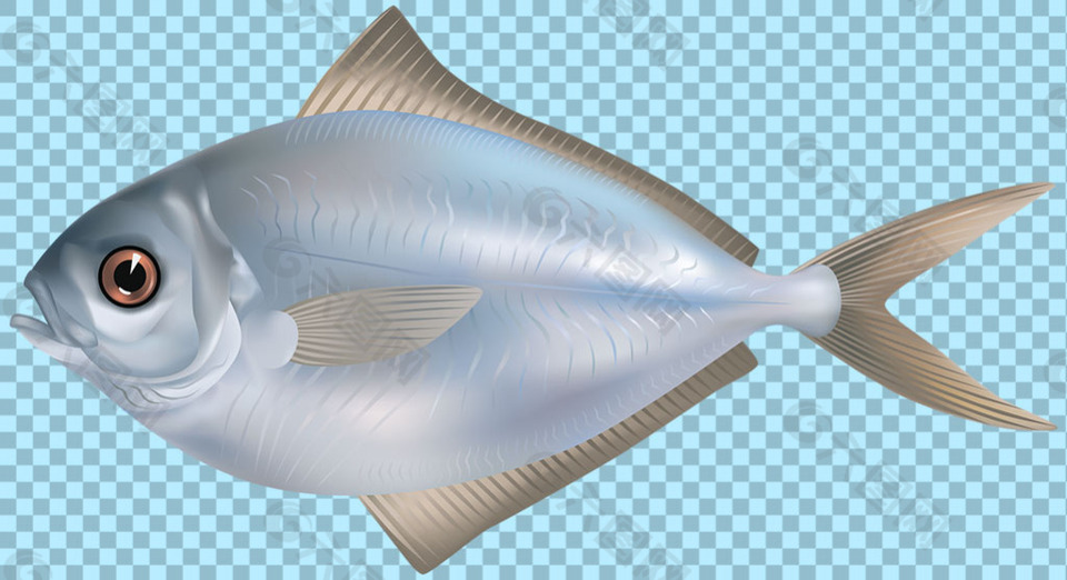 手繪藍(lán)色魚類圖片免摳png透明圖層素材