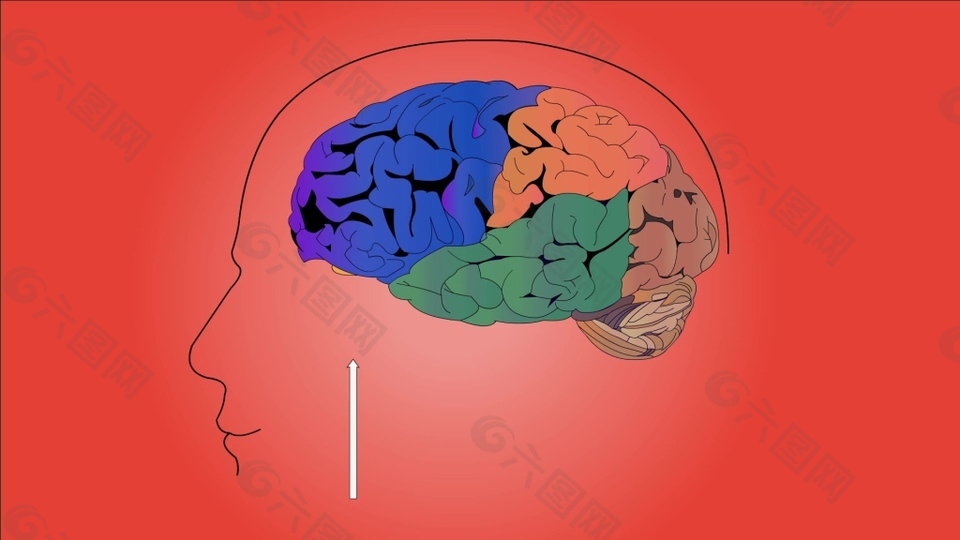 人物大腦醫(yī)療視頻