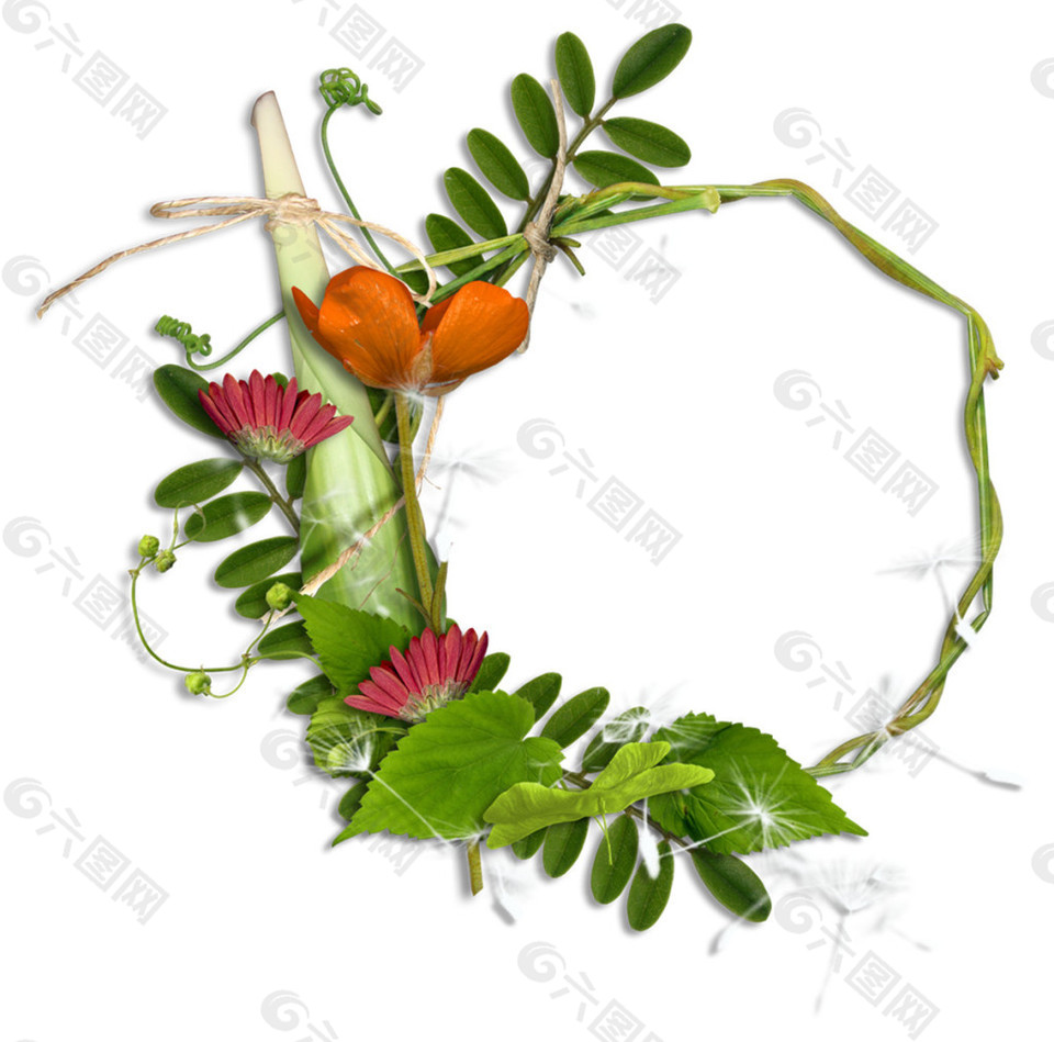 簡約花草邊框素材