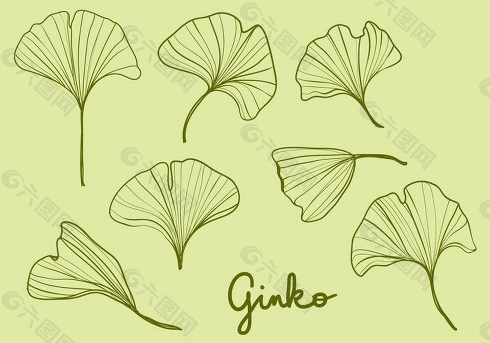 葉子植物矢量素材
