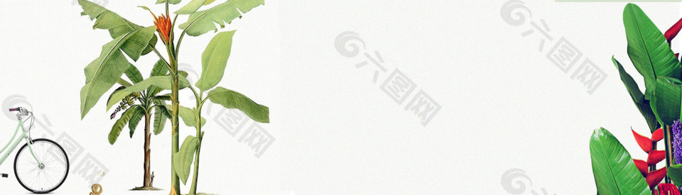 簡(jiǎn)約夏季綠色葉子淘寶全屏banner背景