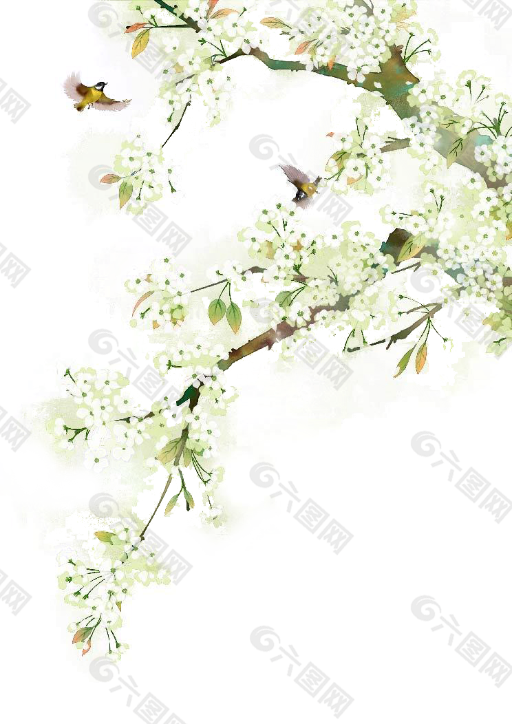 手繪水彩白色梅花小鳥