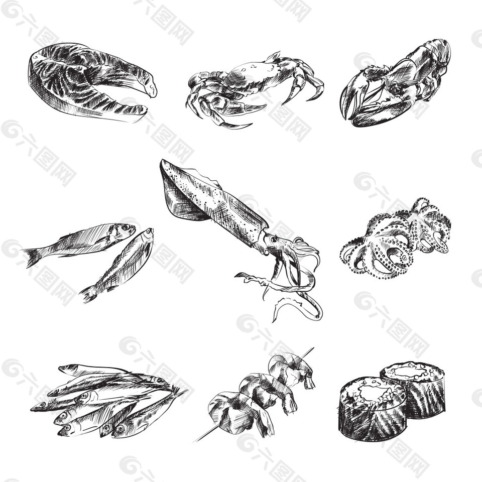 黑白手绘海鲜食材插画