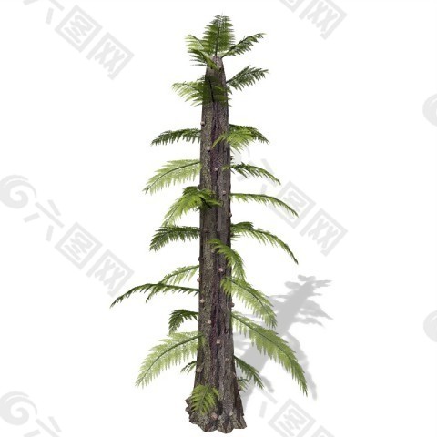 3d高精度室內(nèi)植物花草模型