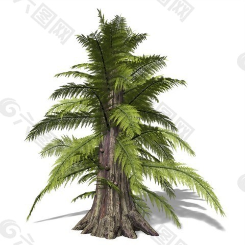 植物立面3D模型