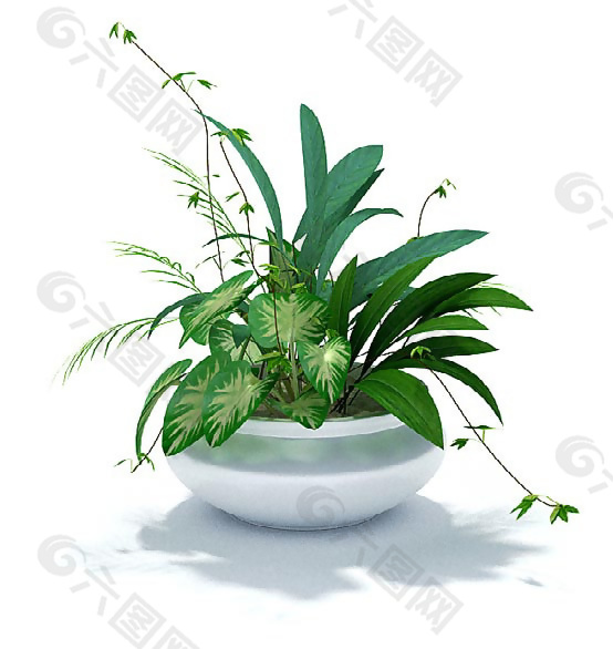 綠色植物組合盆景3D模型