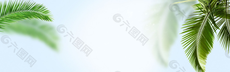 簡潔綠色樹葉banner背景