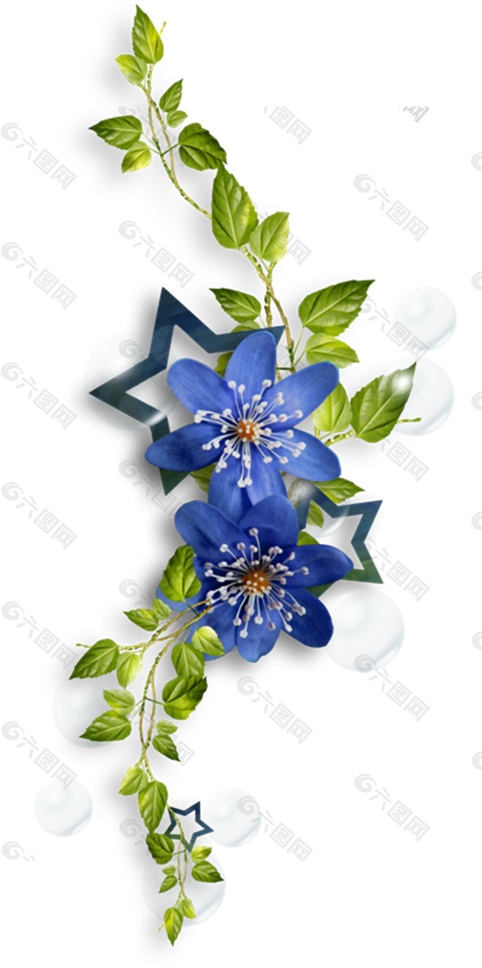 綠葉花朵五角星素材圖片