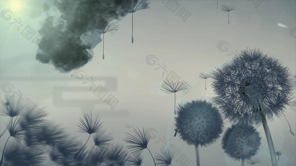 水墨蒲公英中國風視頻素材
