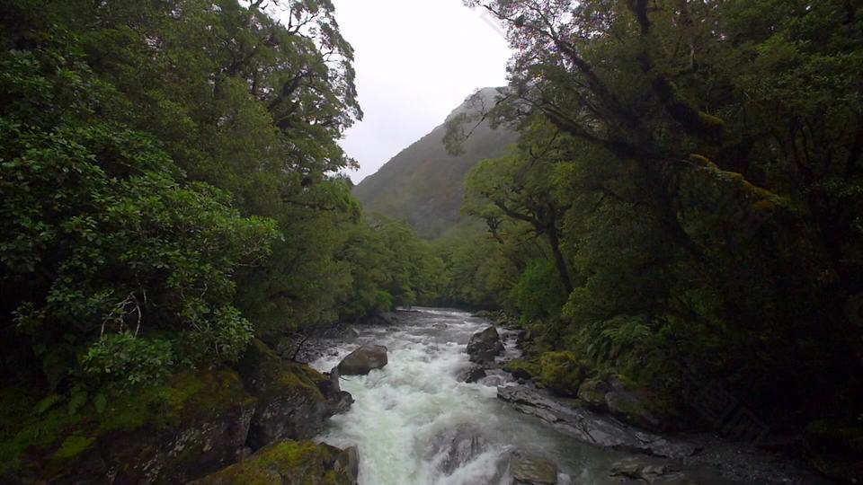 Jungle湍急河流