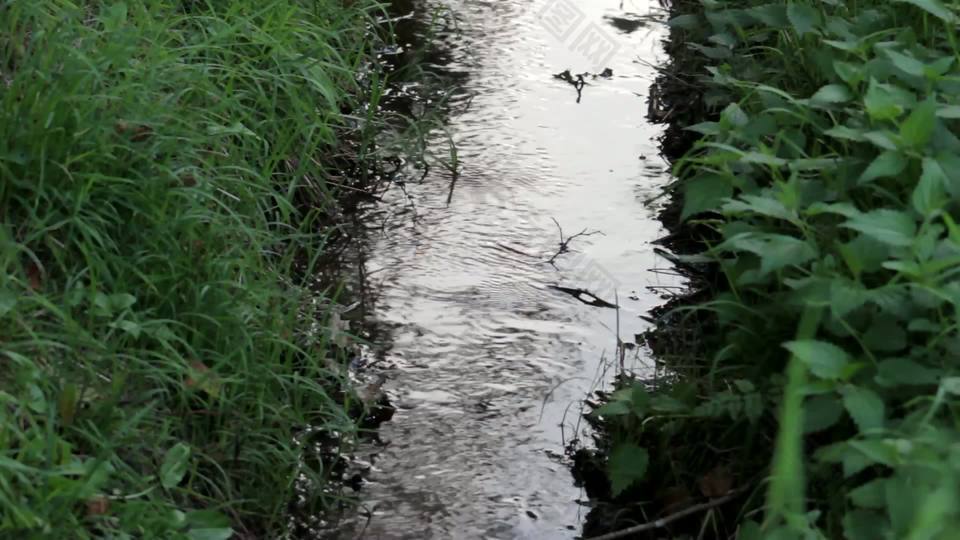 森林湖2