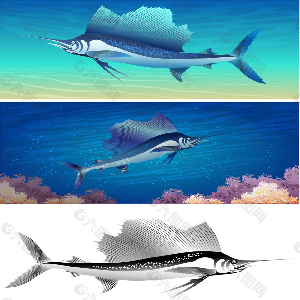 劍魚海洋動物矢量