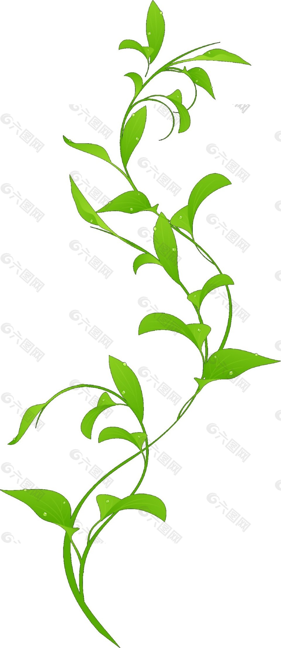 綠色裝飾花藤圖案元素