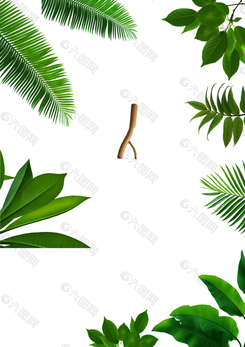 小清新綠葉植物元素