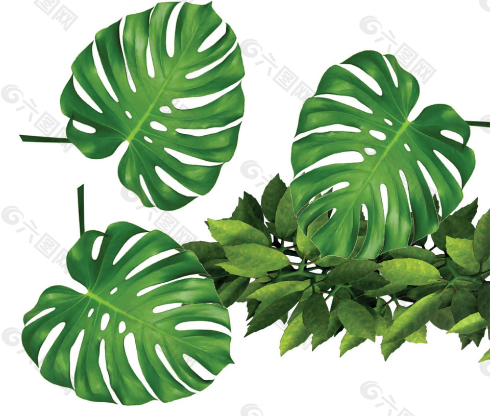 綠色葉子綠植png元素素材