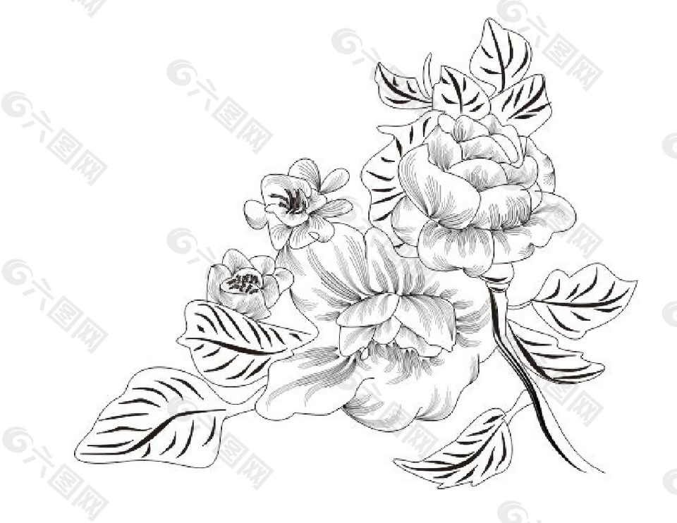 简笔花插画