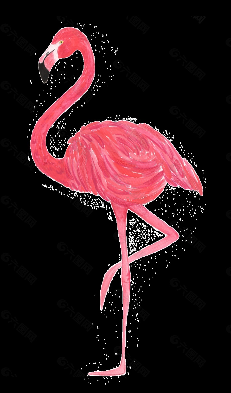 紅色火烈鳥水彩透明免扣圖案